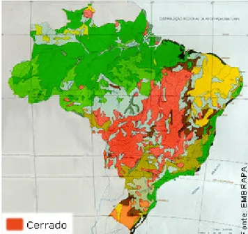 FIGURA 8 – Área de distribuição do Cerrado no Brasil. FONTE: http://eco.ib.usp.br/cerrado/aspectos_ 