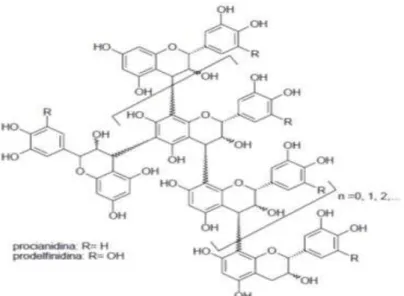 Figura 1: Estrutura geral de oligómeros e polímeros de proantocianidinas. Retirado de (Haslam, 1998) 