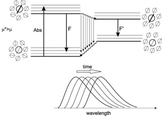 Figure 1.15 – Example of solvent relaxation for a probe with a weak dipole moment in the ground state   and a  large  dipole  moment  in  the  excited  state  