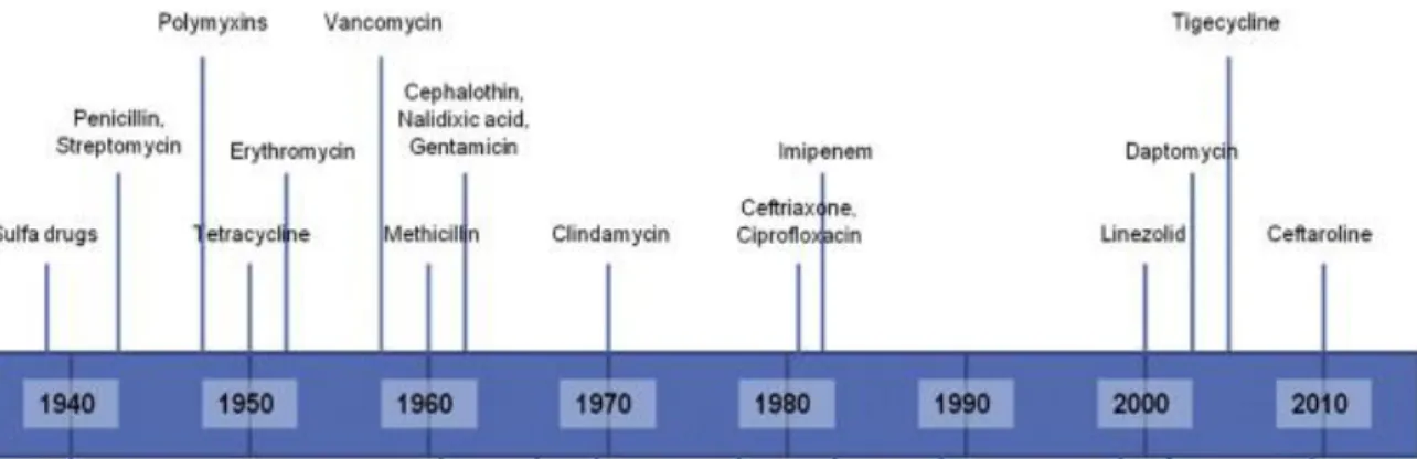 Figura  3:  Cronologia  da  descoberta  temporal  de  novas  moléculas  antimicrobianas,  de  uso clínico (Tang et al., 2014)
