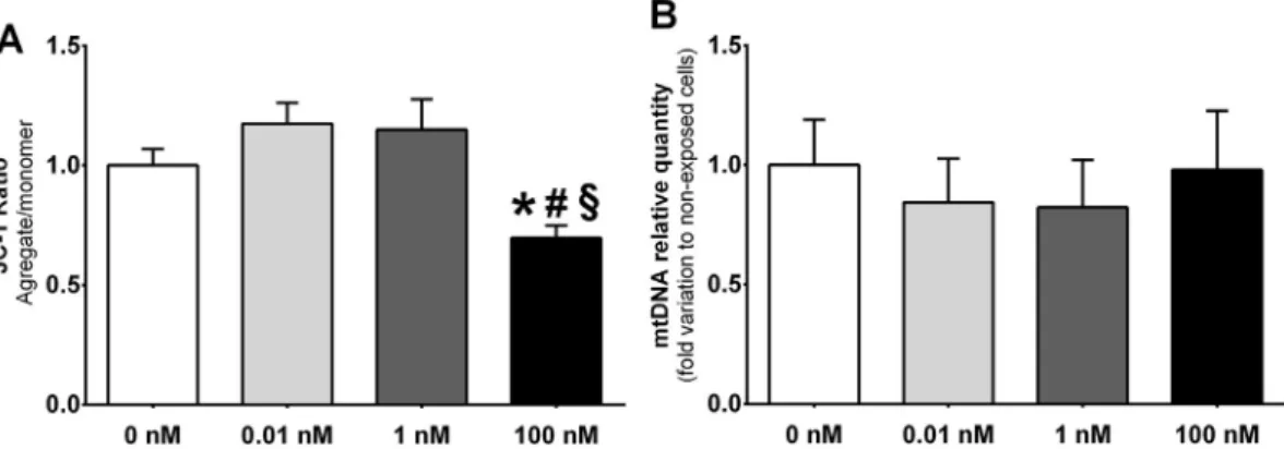 Fig. 3. E ﬀ ects of glucagon like peptide-1 (GLP-1) in mitochondria function of human Sertoli cells