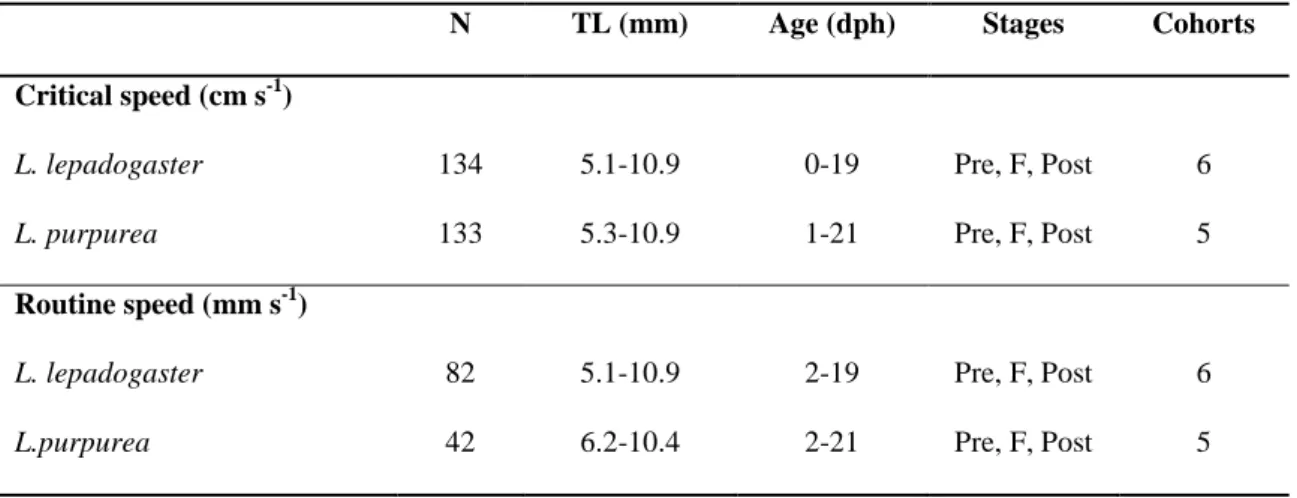 Table 1. Summary of measurements of critical swimming speed (cm s -1 ) and routine swimming  speed  (mm  s -1 )  for  Lepadogaster  lepadogaster  and  Lepadogaster  purpurea:  Number  (N),  size  (total  length  –  TL),  age  (dph:  days  post  hatching), 
