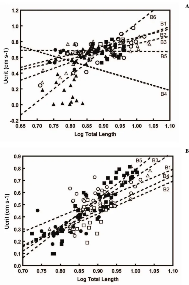 Fig  2.  Ontogenetic  trend  for  critical  swimming  speed  of  each  batch  of  Lepadogaster  lepadogaster  (A)  and  L