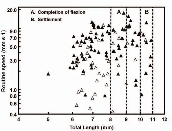 Fig  4.  Relationship  between  routine  swimming  speed  and  total  length  (TL)  for  Lepadogaster  lepadogaster  (black  symbols)  and  L