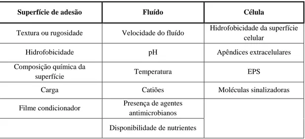 Tabela 2 - Variáveis envolvidas na adesão de células, formação e desenvolvimento de biofilmes  (adaptado de Simões et al., 2010) 