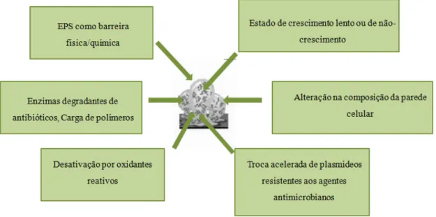 Figura 5 - Ilustração dos mecanismos de resistência antimicrobiana  por um biofilme maduro (adaptado de Prakash et al., 2003) 