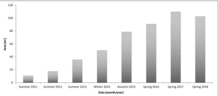 FIGURE 7 | Area (m 2 ) increase along time of a Zostera marina plot, transplanted in spring 2010 from Ria Formosa donor population with an initial size of 11 m 2 , which persists until the end of the monitoring program (June 2018).