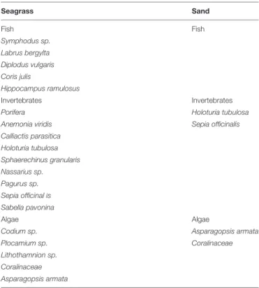 TABLE A1 | Species found inside the transplanted seagrass plots in Praia dos Coelhos and in the nearby sand area.