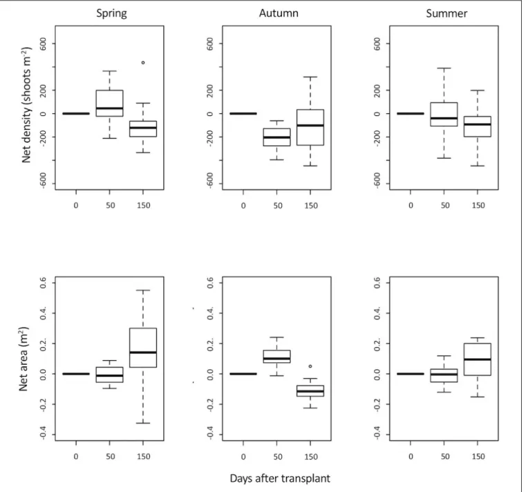 FIGURE 4 | Zostera marina net area (m 2 ) and net density (shoots m −2 ) estimated after 0, 50 and 150 days of transplant