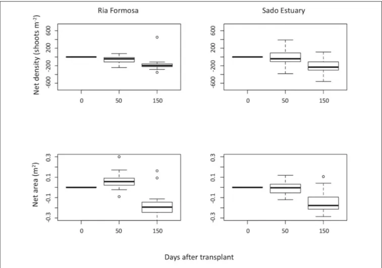 FIGURE 5 | Zostera marina net density (shoots m −2 ) and net area (m 2 ) estimated along time (0, 50 and 150 days) after being transplanted from different donor population sites: Ria Formosa Coastal Lagoon and Sado Estuary into Praia dos Coelhos, in the su