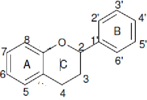 Figura 1:  Estrutura fundamental dos flavonóides