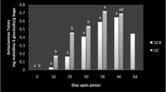Figura 11: Influência da Altitude nas Antocianinas totais na casta Touriga Nacional (médias com a mesma  letra indicam não haver diferenças entre si para um p&lt;0.05