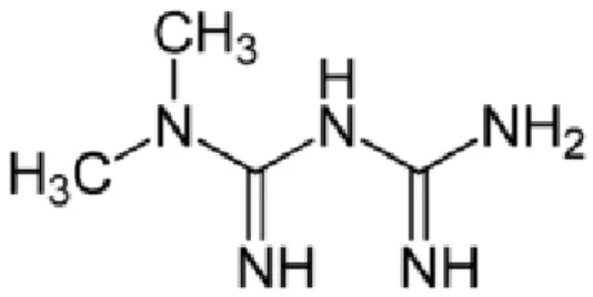 Figura 1: Estrutura molecular da metformina 