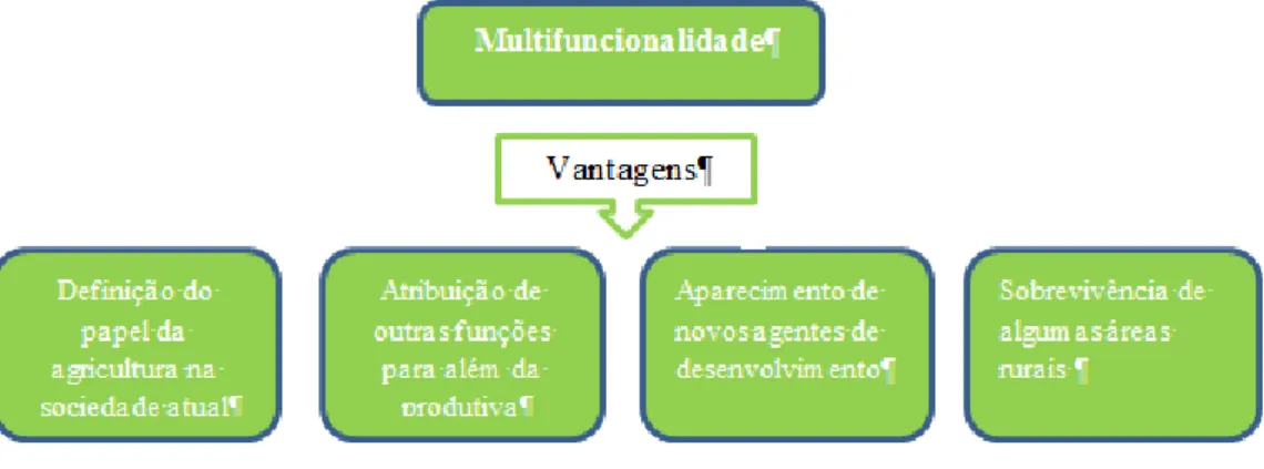 Figura 4 - Algumas vantagens da multifuncionalidade agrícola 