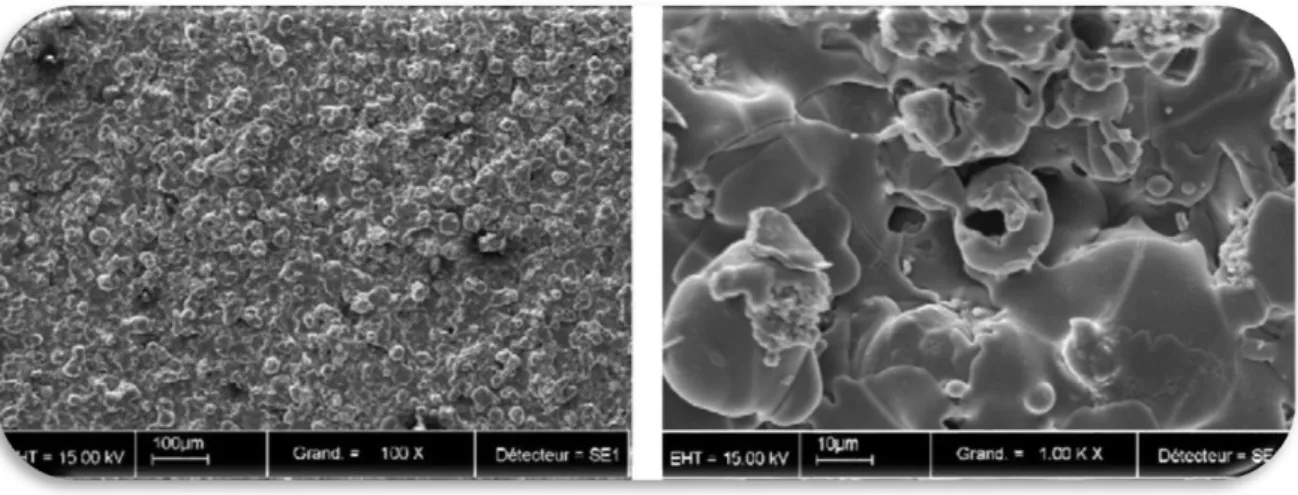 Figura 6- Fotografias adquiridas pelo SEM (microscopia electrónica de varredura) de superfície tratada com SPH  (adaptado de Le Guéhennec, L