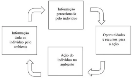Figura I.2 - Ciclo da reciprocidade ativa indivíduo-ambiente (Figueiredo 2015, p.3). 