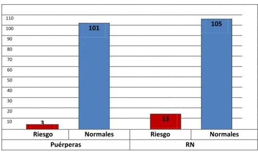 Gráfico 7. Número de puérperas y RN de bajo riesgo y de medio/alto riesgo atendidos en la  práctica clínica