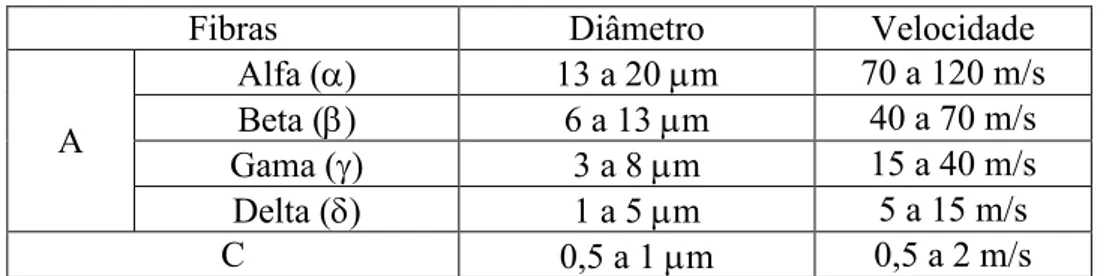 Tabela 1 - Classificação das fibras consoante o diâmetro e a velocidade (adaptado de Okeson, 2013) 