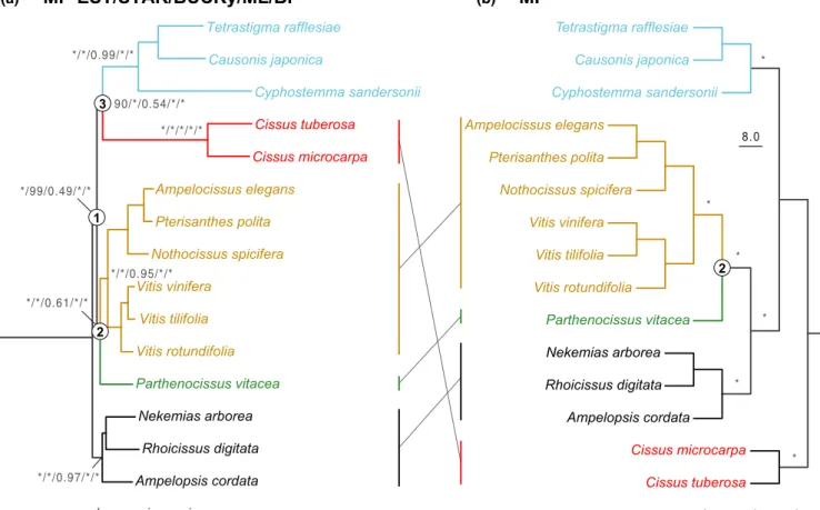 Fig. 4. (a) Topologies inferred from MP-EST, STAR, BUCKy, ML and BI analyses based on data set 16_229nu