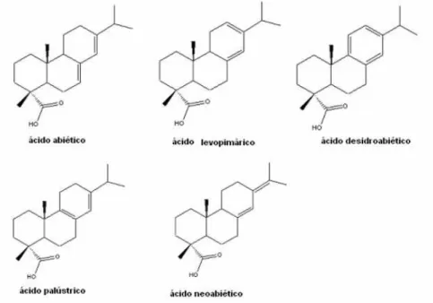 Figura 2-4 - Estruturas dos ácidos tipo abiético (adaptado de (Lopes, 2008)). 