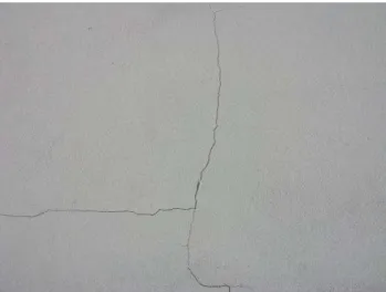 Figura 2.17  –  Fenda superficial no revestimento de argamassa de uma parede. 