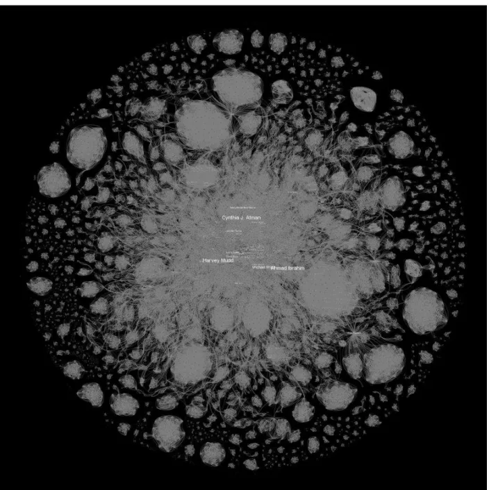 figure 4 shows an intermediary state of evolution in year 2000. We selected this year for  the  interesting  properties  that  the  topology  of  the  graph  displays  for  that  year