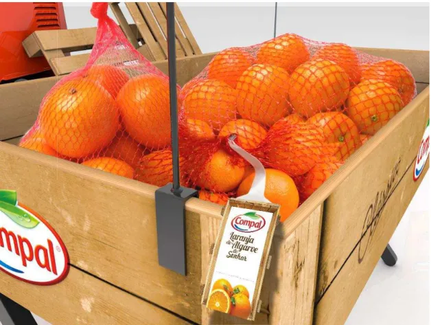 Figura 39 - Simulação tridimensional dos elementos da ação de ativação 