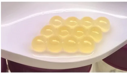 Figure 8 Spotted wolffish eggs 