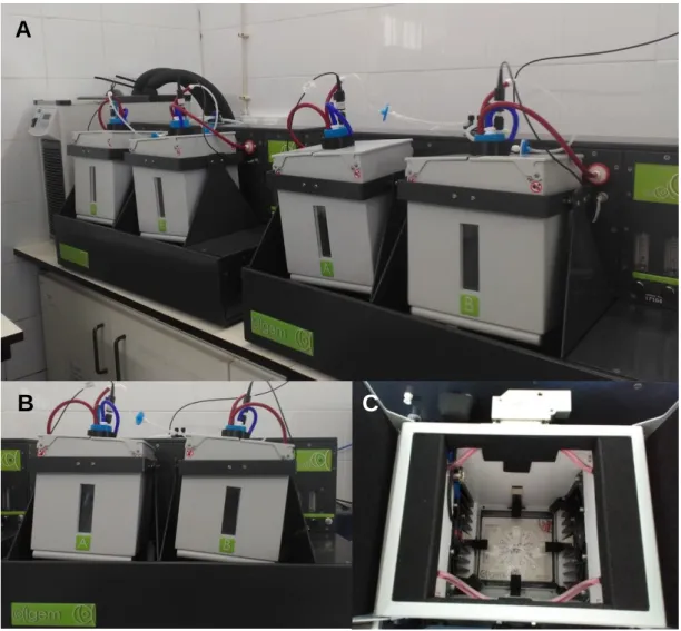 Figure 4 - Algem ®  PBR array at Necton’s facility. General view of the equipment, composed of two  systems, each with two PBR units (A); one system of Algem ®  comprising two oscillatory PBR units  (B); and the interior view of the chamber (C)