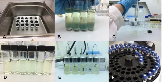 Figure 7 – Some of the steps of the fatty acids samples. Samples during the heat treatment, in a water bath  of 70ºC (A), fatty acids samples after centrifugation (B), filtration of the hexane fraction through 0.22-µm  PTFE filters (C), samples after filtr