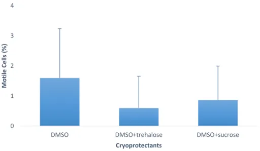 Figure 2 - Percentage of motile cells in Crassostrea angulata (n=5) comparing cryopreserved sperm with  different  cryoprotectants  (DMSO,  DMSO+trehalose  and  DMSO+sucrose)