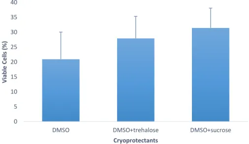 Figure 3 – Percentage of viable cells in Crassostrea angulata (n=5) comparing cryopreserved sperm with  different  cryoprotectants  (DMSO,  DMSO+trehalose  and  DMSO+sucrose)