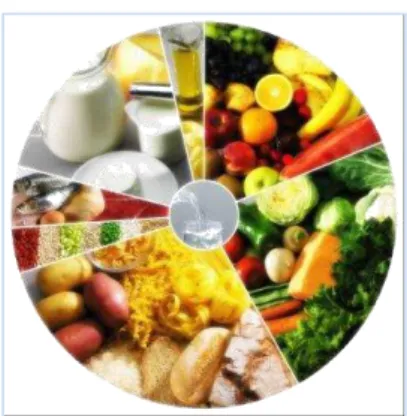 Fig 1: Roda dos alimentos 
