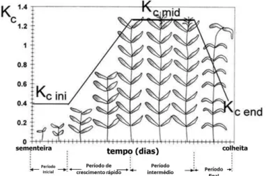 Figura 7 - Evolução do coeficiente cultural (K C ) de uma cultura ao longo do tempo e do  desenvolvimento vegetativo das plantas, da sementeira à colheita