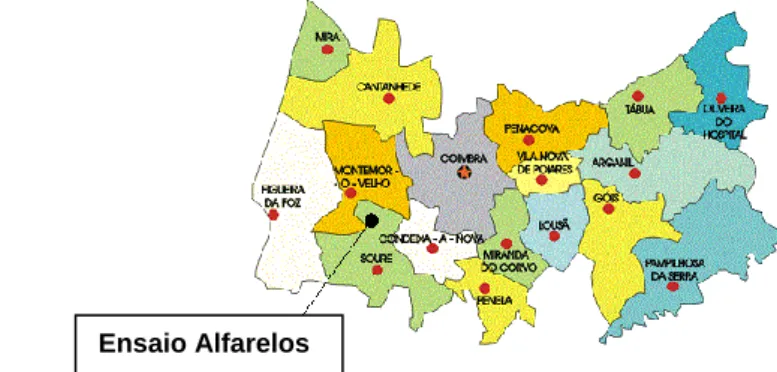 Figura 3. Localização do ensaio de campo realizado em Alfarelos. 