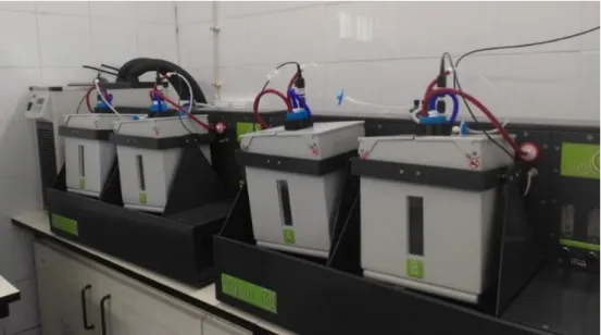 Figure 11- The Algem environment labscale photobioreactors coupled to a dedicated chiller to regulate  the temperature inside each chamber.