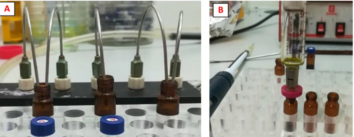 Figure 14 – A: The process of drying the samples using a gentle flow of Nitrogen. B: The resuspension of  the samples using a syringe and a PTFE filter.