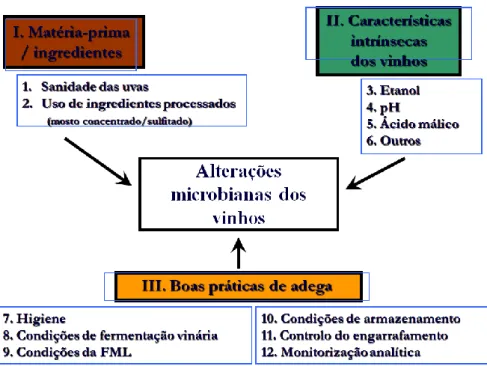 Figura 1.6. Esquema dos factores de promoção e controlo das alterações microbianas dos vinhos 