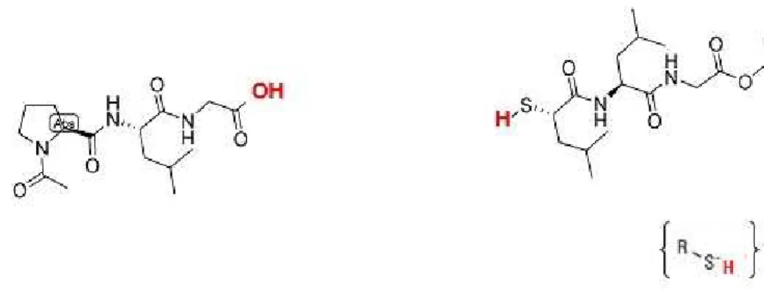 Figura 16.  Estrutura molecular dos produtos da reação incluindo um tiol que irá reagir com o DTNB.