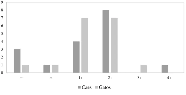 Gráfico  2:  Frequência  dos  resultados  semi-quantitativos  da  proteinúria  obtidos  com  as  tiras  Aution  10PA ®  em cães e gatos