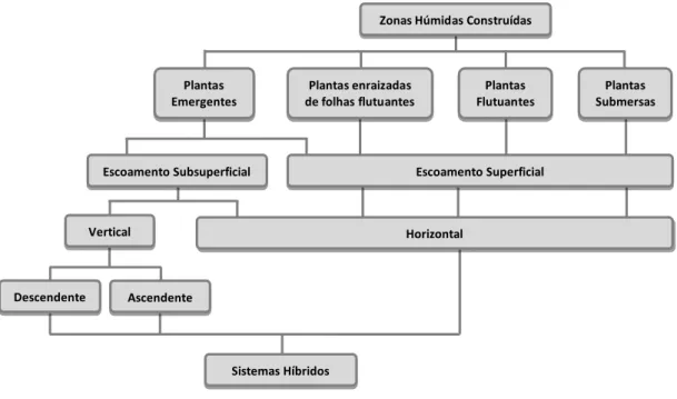 Figura 2.4 – Características de diversas zonas húmidas construídas. 