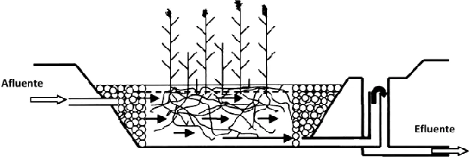 Figura 2.11 – Representação esquemática de ZHC-ESSH, com macrófitas emergentes  (Adaptado de Vymazal, 2003)