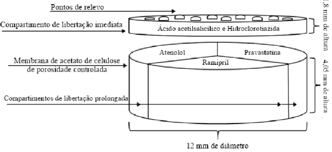 Figura 8: Esquema estrutural da composição da policápsula. Adaptado de Khaled et al. (2015)