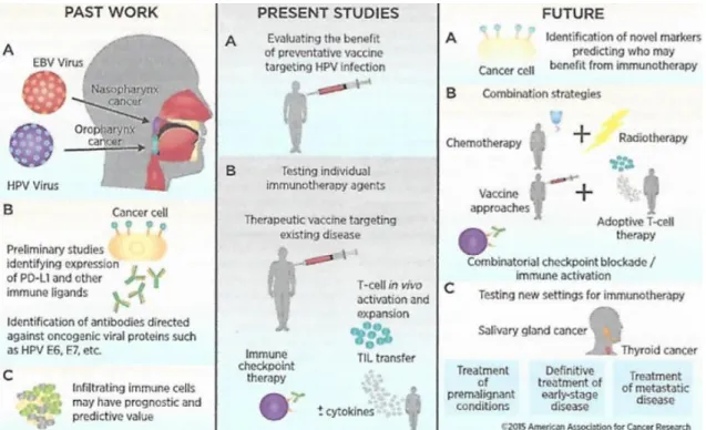 Figura 4. O passado, o presente e o futuro da conexão entre imunoterapia e o tratamento do cancro da cabeça e  pescoço