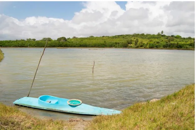 Figura 9 – Viveiro de cultivo situado na área de manguezal do estuário do Rio Potengi (Estado do Rio Grande do  Norte – Brasil), local onde foram pescados os animais do trabalho experimental