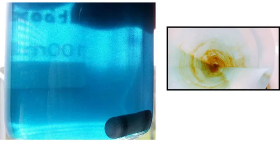 Fig 3.10 - Fotografia do resultado final da degradação do corante Índigo Carmim 20mg/L a pH 11  (ao fim de 10 minutos de  ensaio), com 7,5 mg de FeSO 4 