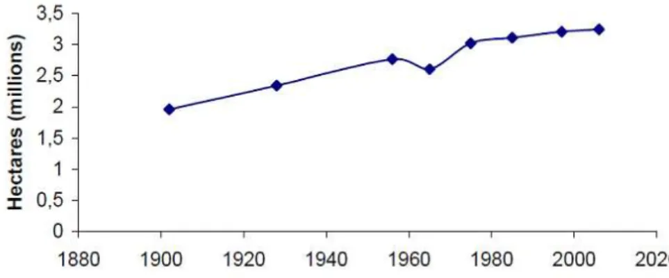 Figure 2 – Evolution of the forest total area in Portugal (ISA, 2006). 