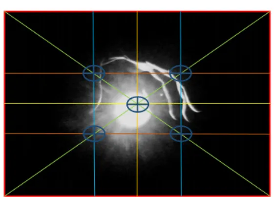 Figura 3- Diagrama das Linhas de Força sobre fotografia de Eli 
