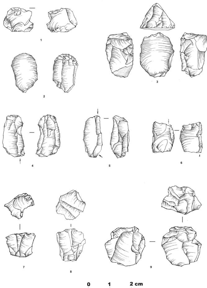 Fig. 3. Gravettian lithic assemblage: 1. Splintered piece; 2,3. Carinated Endscrapers; 