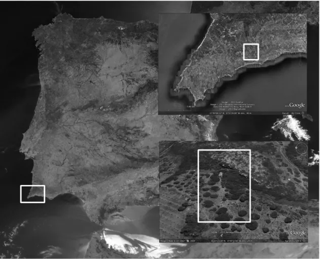 Fig. 1. Location of Vale Boi (Southwestern Iberia). 